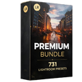 Premium Bundle - (700+ Lightroom Presets) Lightroom Preset – 1st Lightroom Presets